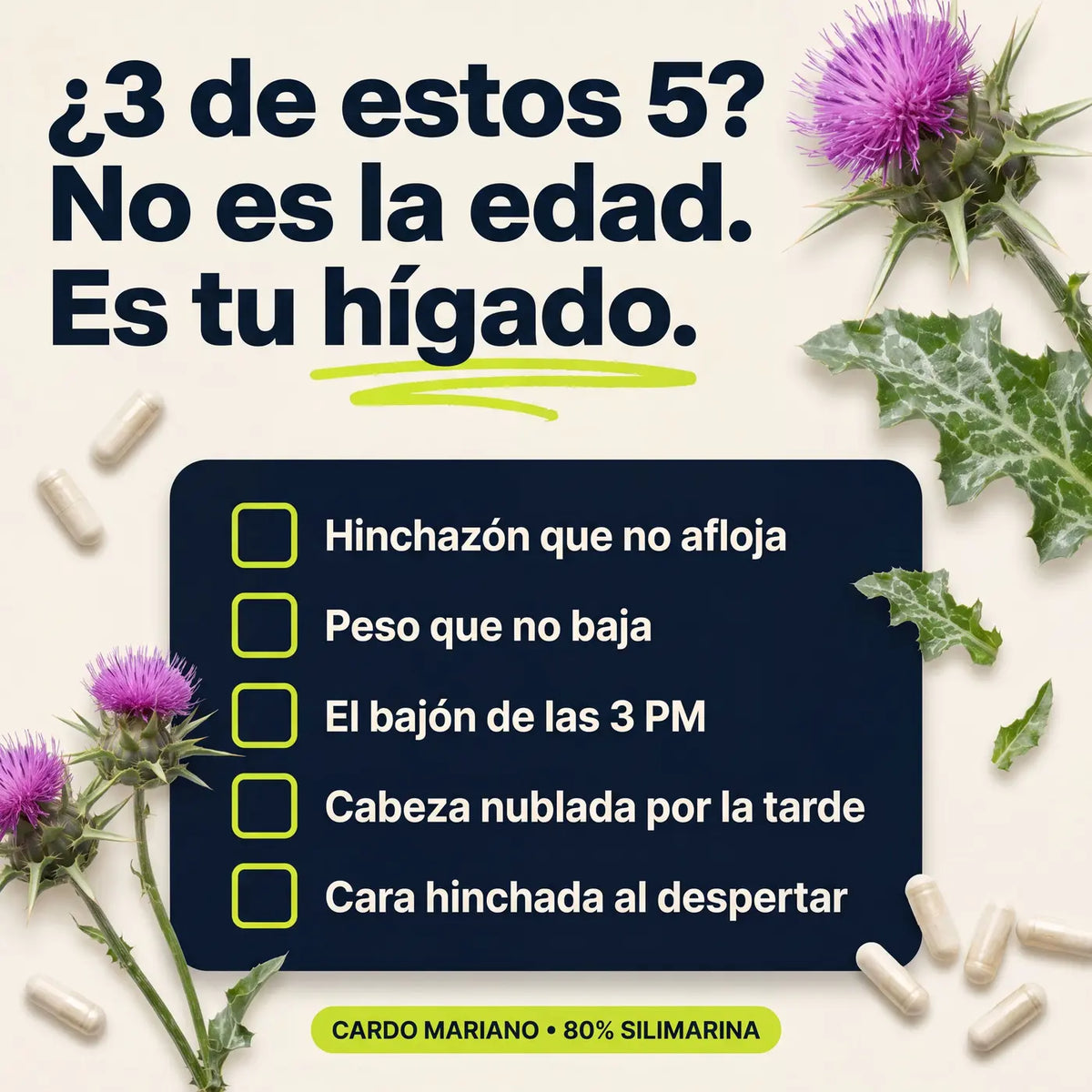 Cardo Mariano | Detox de hígado