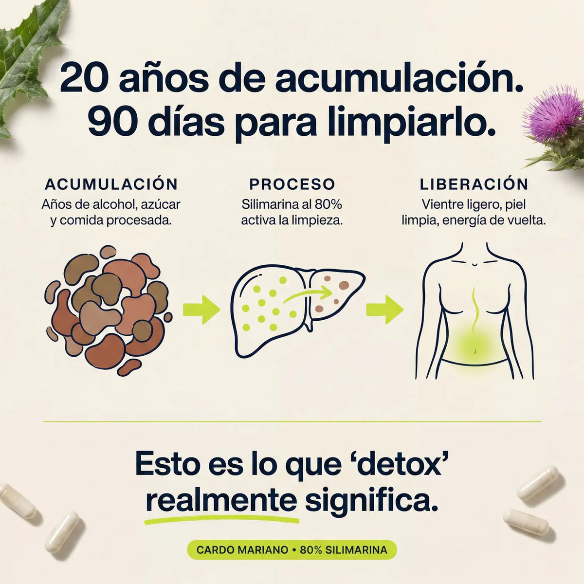 Cardo Mariano | Detox de hígado