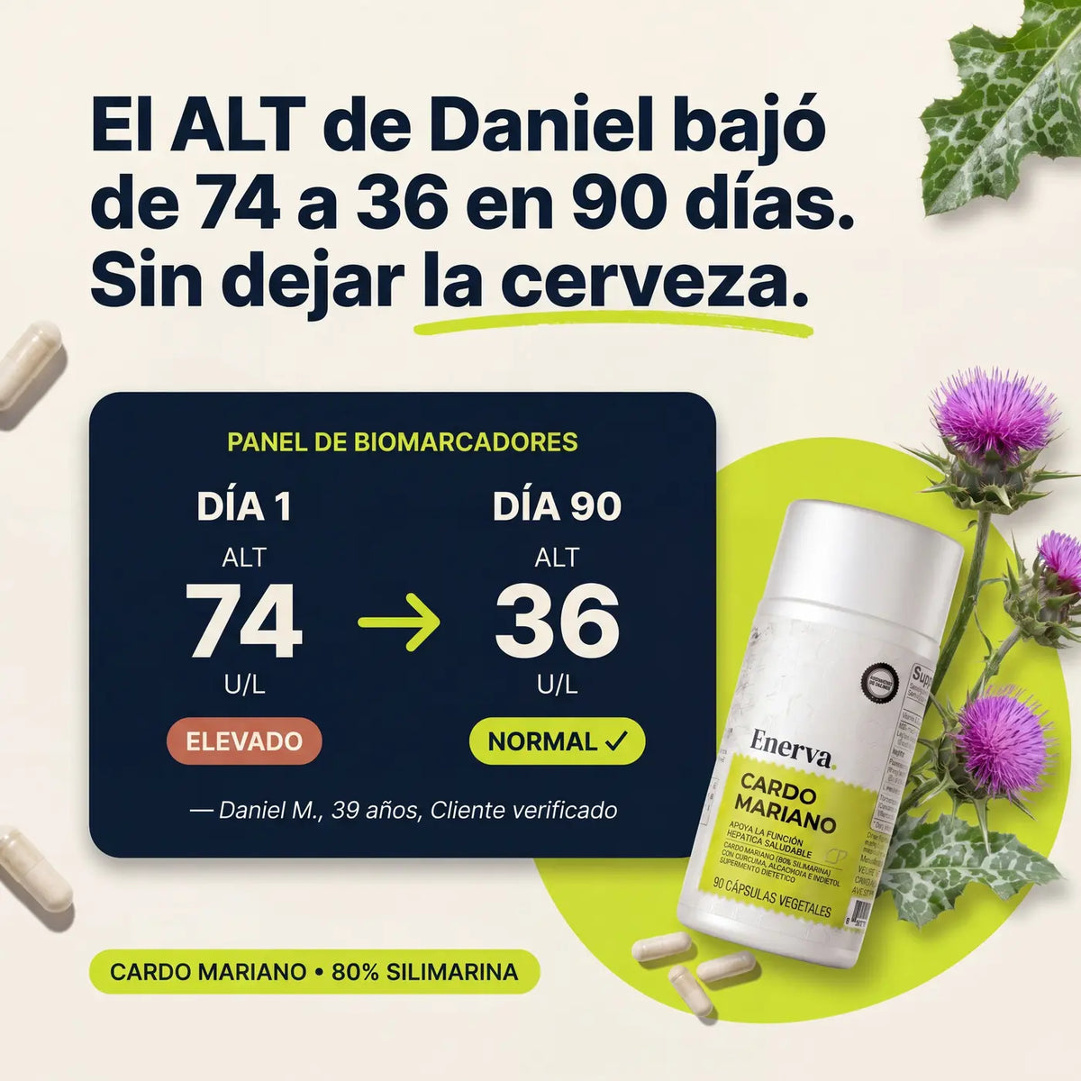 Cardo Mariano | Detox de hígado