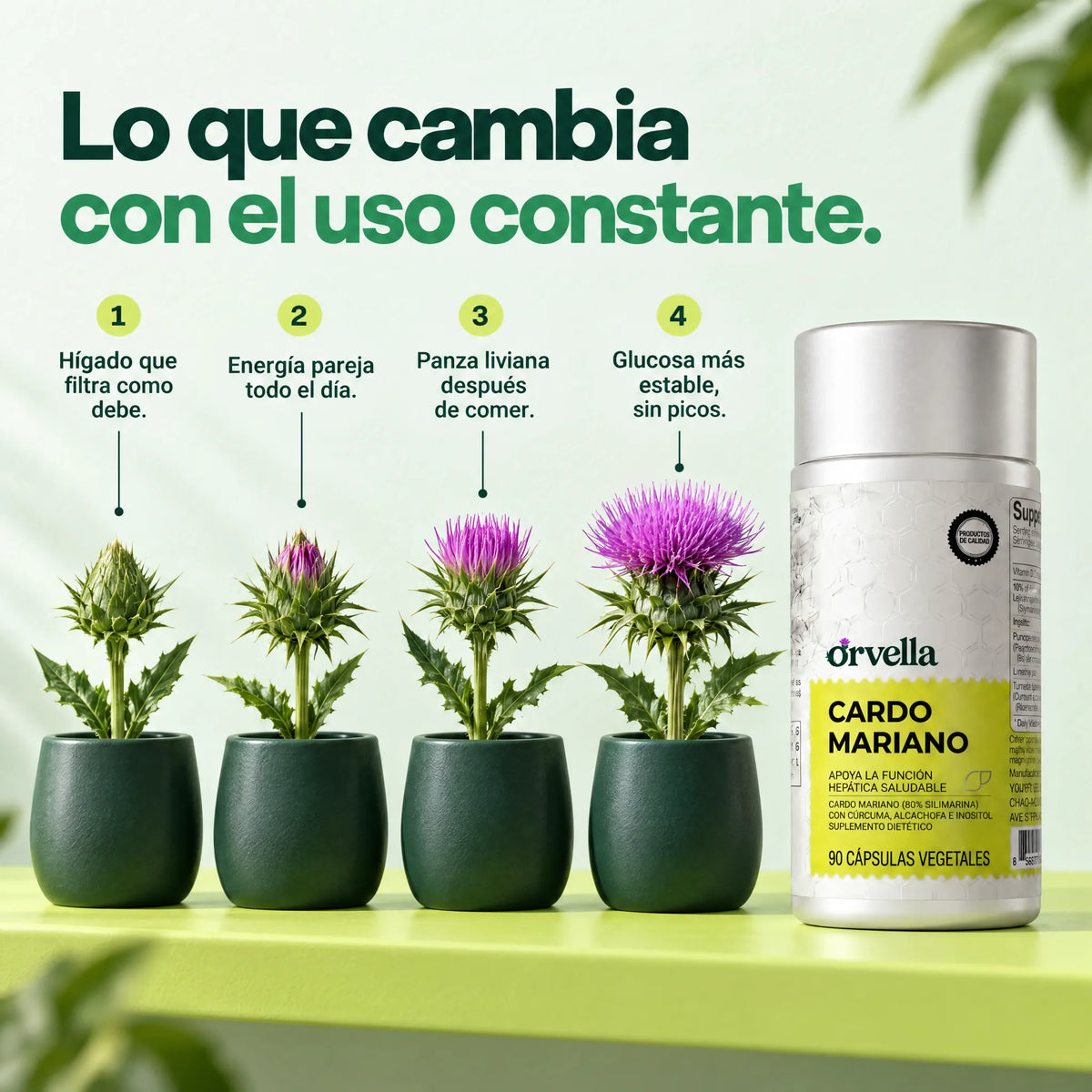 Lo que cambia con el uso constante de Orvella Cardo Mariano