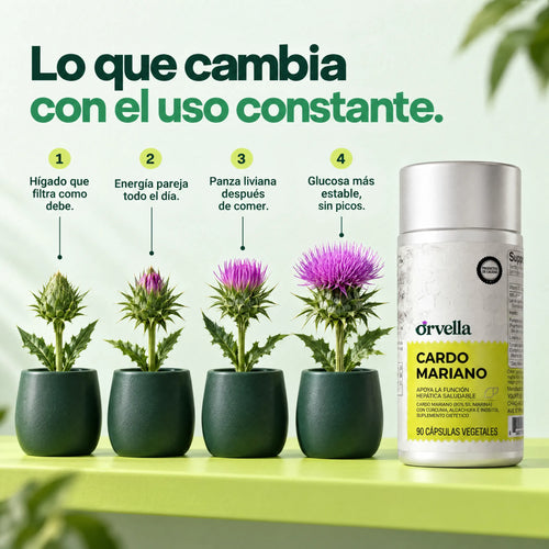 Lo que cambia con el uso constante de Orvella Cardo Mariano