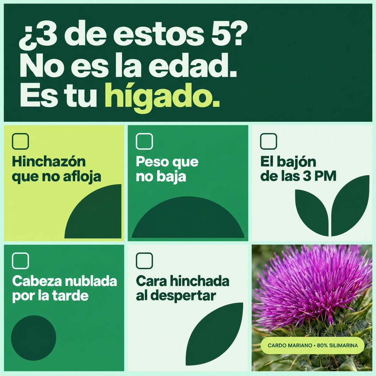 ¿3 de estos 5 síntomas? No es la edad, es tu hígado
