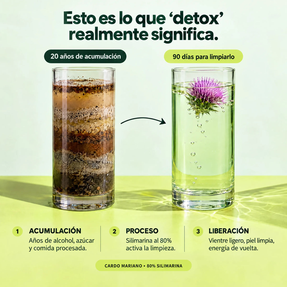 Qué significa realmente detox: 20 años de acumulación, 90 días para limpiarlo