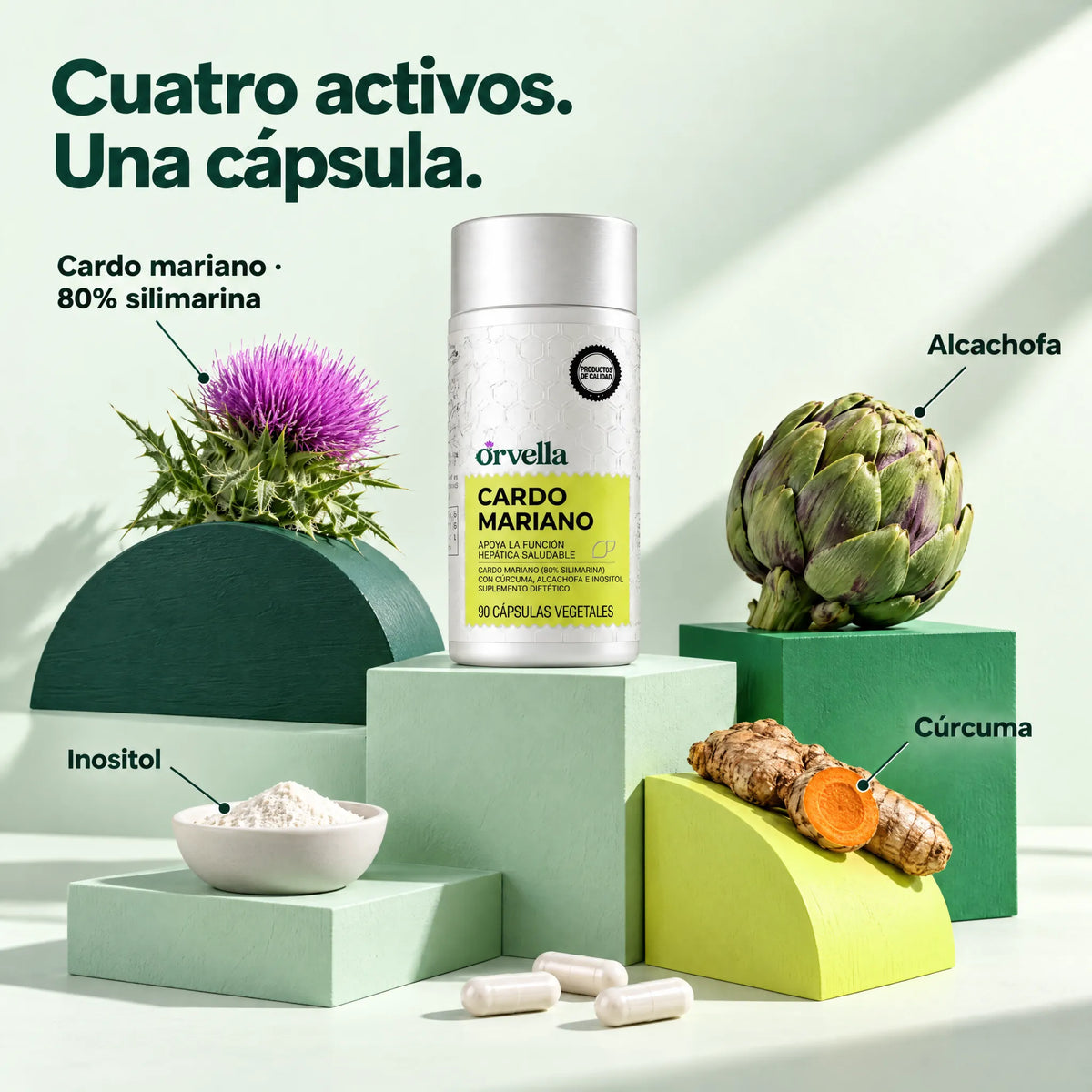 Ingredientes de Orvella: cardo mariano 80% silimarina, alcachofa, cúrcuma e inositol