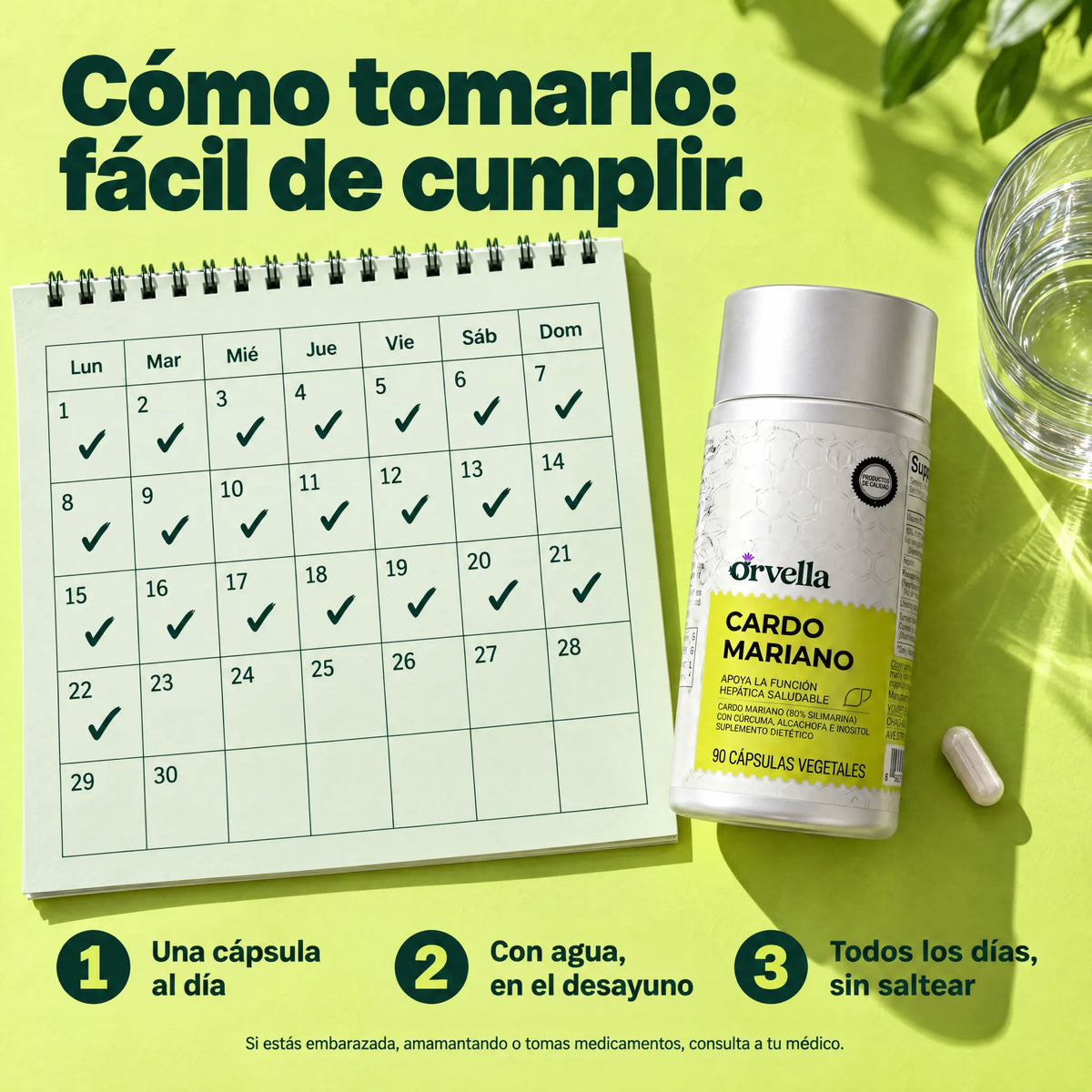Cómo tomar Orvella: una cápsula al día con agua en el desayuno