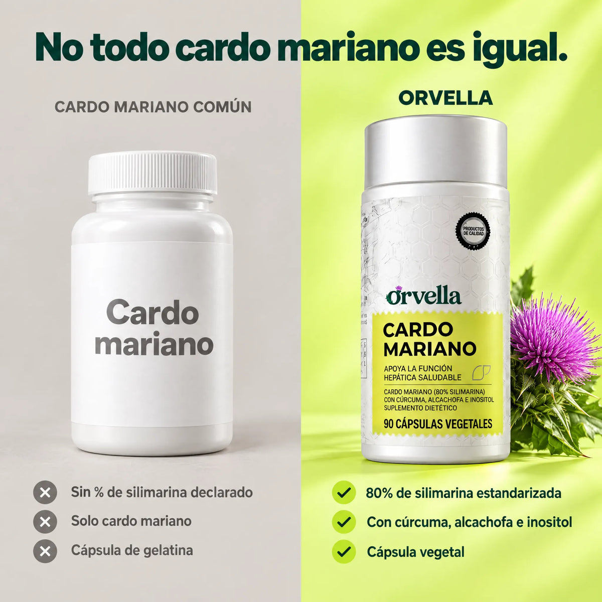 No todo cardo mariano es igual: Orvella frente a un cardo mariano común